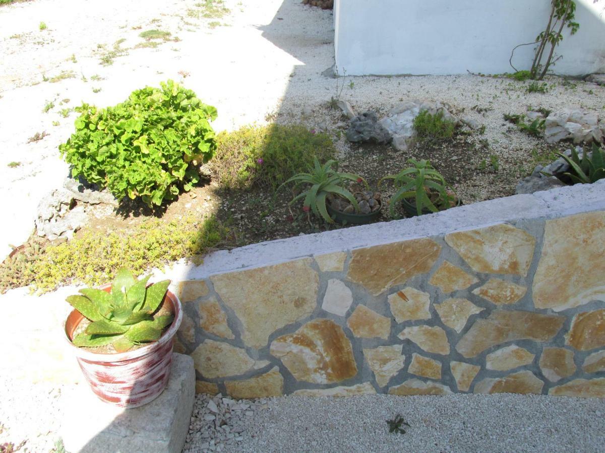 Sunny Apartman Pajdek Sevid Buitenkant foto
